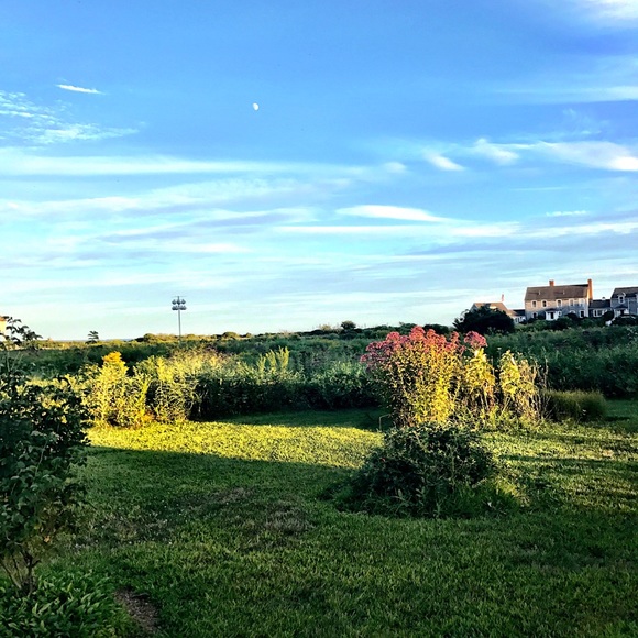 Meet your Posher, Meg - Picture 7 of 8